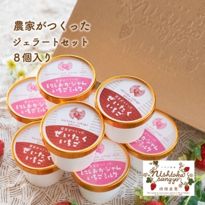 農家がつくったジェラートセット8個入【BH005】