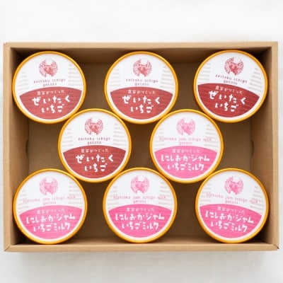 農家がつくったジェラートセット8個入【BH005】