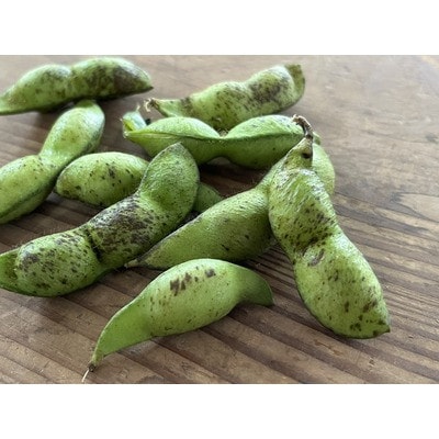 【期間限定】丹波黒の枝豆「どらまめ」2.5kg 千葉県栄町産