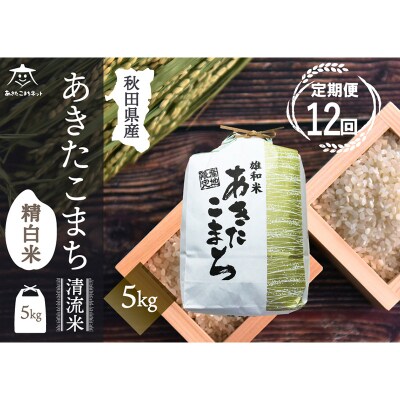 《定期便12ヶ月》秋田市雄和産あきたこまち 清流米 5kg|15_akn-dd0512h