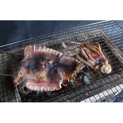 【ほうえい】おまかせ　おすすめ品セット3