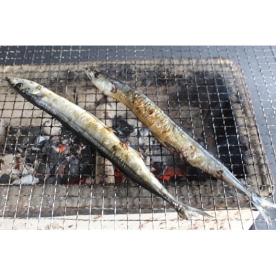 【ほうえい】 ひものセット2