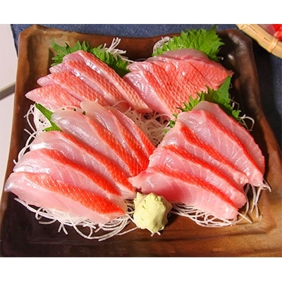 【渡辺水産】「お祝いにおすすめ」めで鯛　たべ鯛　きんめ鯛セット!(3～4人前)