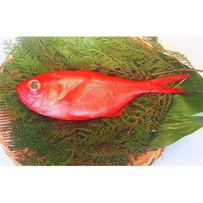 【渡辺水産】【生】でお届け!こだわりの地金目鯛しゃぶしゃぶ&湯引き(刺身用)セット