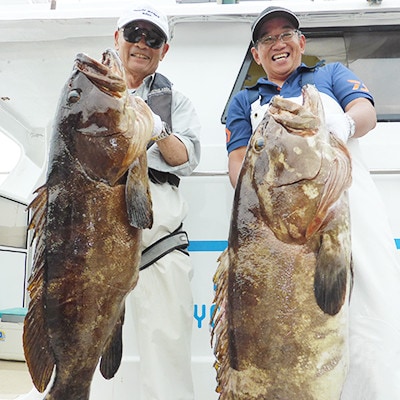 【神子元島】船での夢の大物釣り半日体験(真鯛・シマアジ、モロコ(大型クエ))