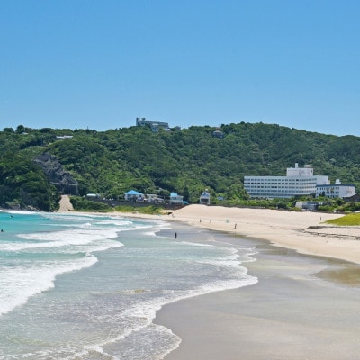 下田温泉 ホテル伊豆急 ご宿泊補助券(10,000円分)