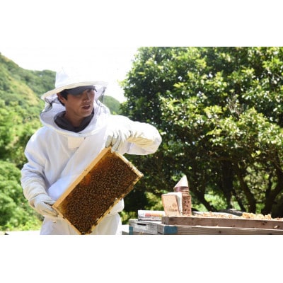 伊豆下田高橋養蜂の蜂蜜2種詰め合わせセット(600g×2本)