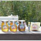 伊豆下田高橋養蜂のおすすめ5点セット