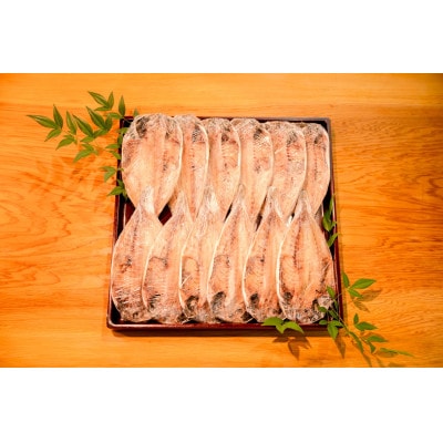 【下田市製造】特上真あじ干物 計12枚入り