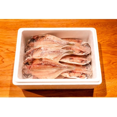 【下田市製造】特上真あじ干物 計12枚入り