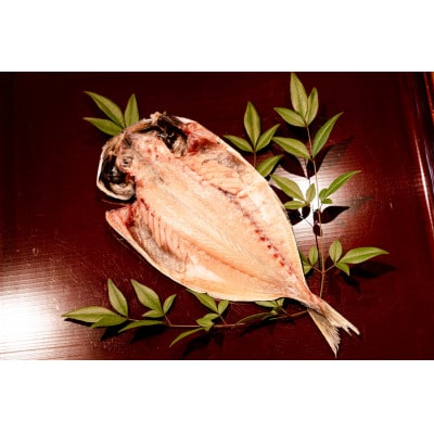 【下田市製造】特上真あじ干物 計12枚入り