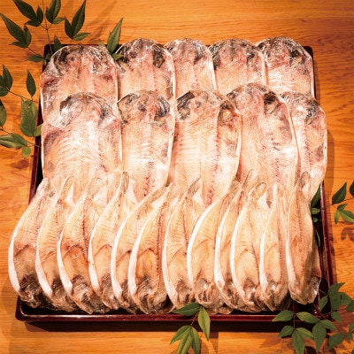 (下田市製造)とろあじ干物+シズ干物 計22枚入り