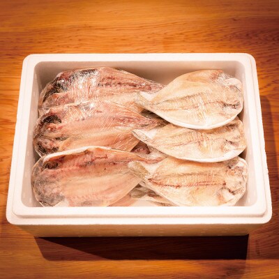 (下田市製造)とろあじ干物+シズ干物 計22枚入り