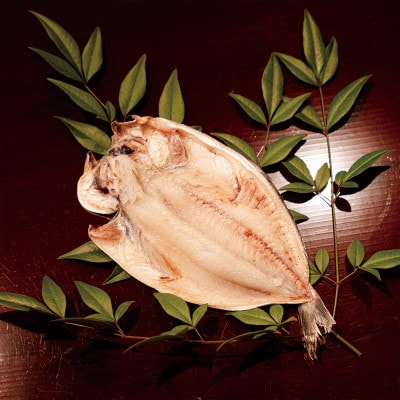 (下田市製造)とろあじ干物+シズ干物 計22枚入り