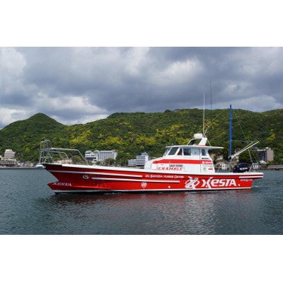 初めてでも安心手ぶらでGO!下田港内魚釣り2時間30分(2名様)