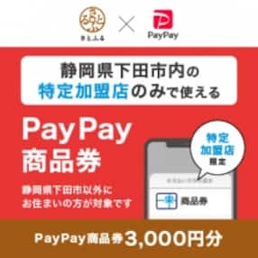 静岡県下田市 PayPay商品券(3,000円分)※地域内の一部の加盟店のみで利用可