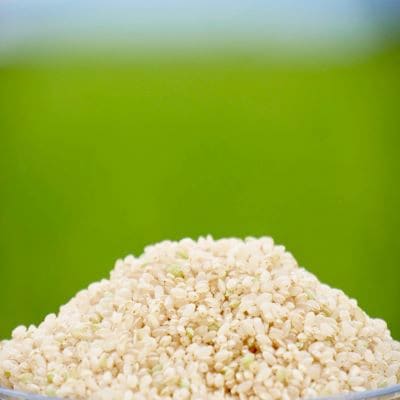 安藤農園のゆめぴりか10kg(令和4年産)