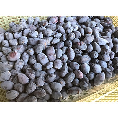 真野農園のハスカップ(500g×2パック)(令和5年産)