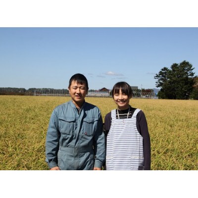 伊藤農園の特別栽培米ゆめぴりか(玄米)　10kg(令和4年産)