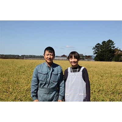 【毎月定期便】伊藤農園の特別栽培米ゆめぴりか精米10kg 全5回