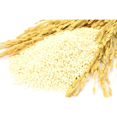 【先行受付】令和5年北海道産 特Aランク ななつぼし10kg(5kg×2袋)【美唄市産】
