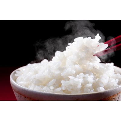 【先行受付】令和5年北海道産【特A】食べ比べセット 10kg(ゆめぴりか・ななつぼし 各5kg)