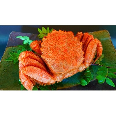 2021年3月発送開始『定期便』食の三種の神器シリーズ【松】全2回