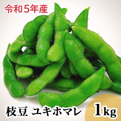バランス農法 農薬や肥料を使わずに育てた枝豆 ユキホマレ 1kg お礼品詳細 ふるさと納税なら さとふる