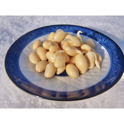 【バランス農法】栽培期間中農薬や肥料を使わずに育てた大豆ユキホマレで仕込んだ発芽大豆味噌650g