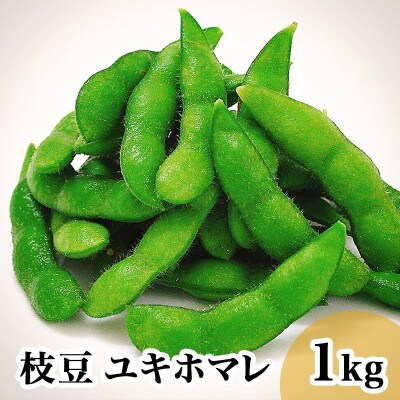 【発送月固定定期便】栽培期間中農薬や肥料を使わずに育てた枝豆ユキホマレ/大粒ユキホマレ食べ比べ全2回