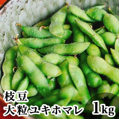 【発送月固定定期便】栽培期間中農薬や肥料を使わずに育てた枝豆ユキホマレ/大粒ユキホマレ食べ比べ全2回