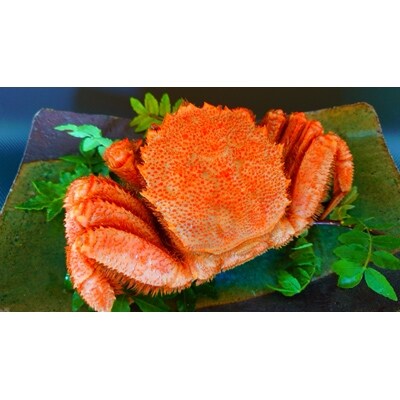北海道産　夢の食シリーズ　ソロ(剥きボイル毛蟹約500g×1匹)