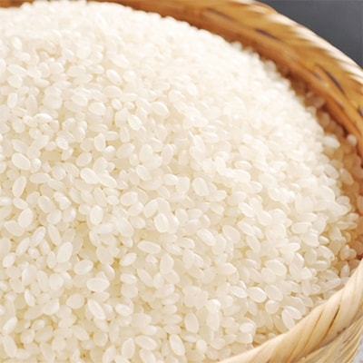 【さとふる限定】【先行受付】令和3年産  北海道産ゆめぴりか10kg(5kg×2袋) 【美唄市産】