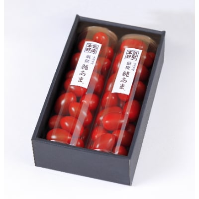 北海道産フルーツトマト　純あま ギフト　(約300g×2)