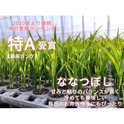 【株式会社弥生時代】2024年産 北海道美唄産 ななつぼし3kg