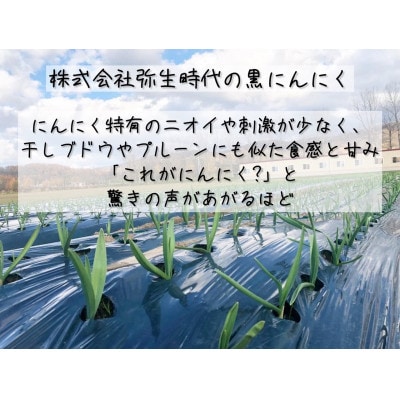 【株式会社弥生時代】不ぞろいの越冬熟成黒にんにく100g×8袋【Mサイズ片】