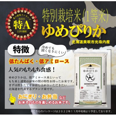 【JGAP認証農場】【特別栽培米】北海道産ゆめぴりか/令和4年産/10kg×1袋