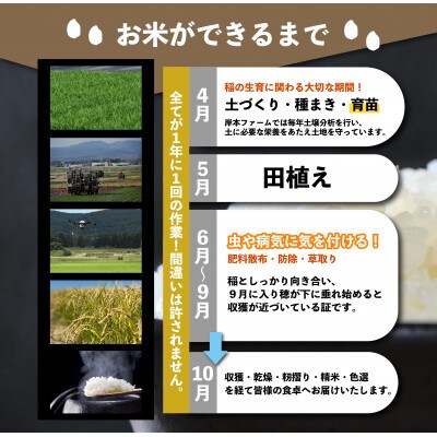 【JGAP認証農場】【特別栽培米】北海道産ゆめぴりか/令和4年産/10kg×1袋