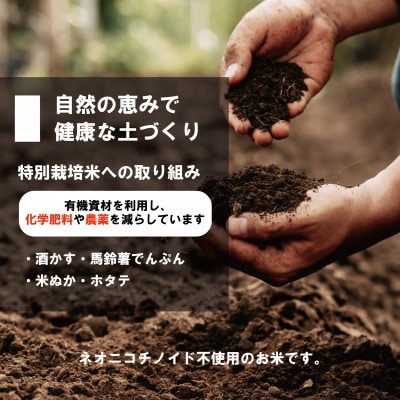 【JGAP認証農場】【特別栽培米】北海道産ゆめぴりか/令和4年産/10kg×1袋