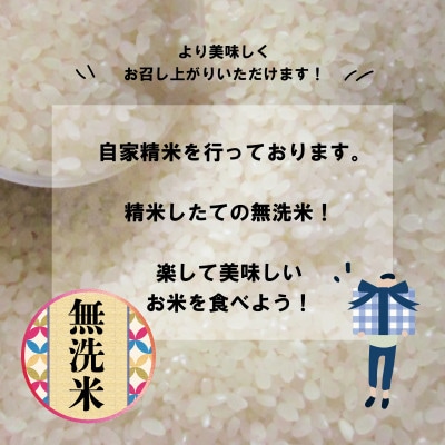 【無洗米】【特別栽培米】令和4年産/北海道産ななつぼし/10kg×1袋/JGAP認証農場
