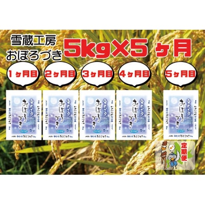 【毎月定期便】厳選 雪蔵工房おぼろづき5kg 全5回