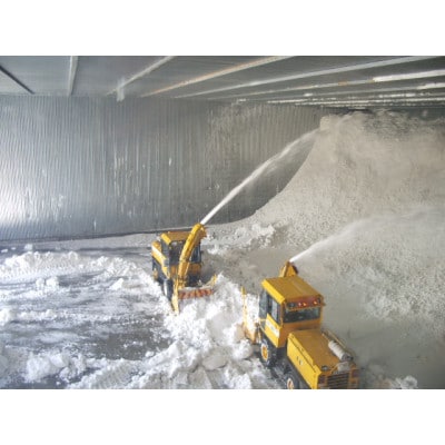 【毎月定期便】厳選 雪蔵工房おぼろづき5kg 全5回