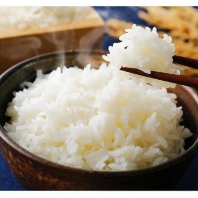 【毎月定期便】北海道産　美優米ゆめぴりか(精米)5kg全6回