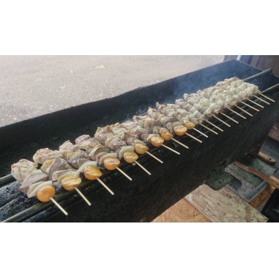 居酒屋『醍醐』の美唄焼き鳥　鶏モツ串 25本セット