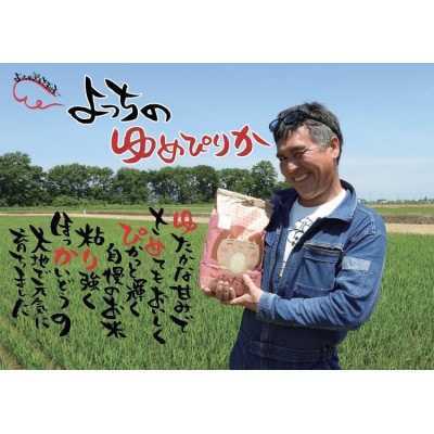 (令和5年産)【JGAP認証農場】佐々木農場のゆめぴりか精米 10kg(5kg×2袋)