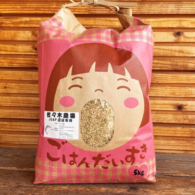 (令和5年産)【JGAP認証農場】佐々木農場のゆめぴりか玄米 15kg(5kg×3袋)