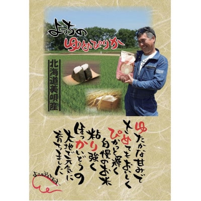 【令和6年産先行受付】【JGAP認証農場】佐々木農場のゆめぴりか4kg(2kg×2袋)