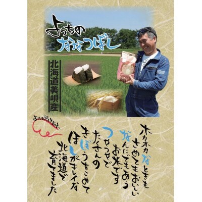 【令和6年産先行受付】【JGAP認証農場】佐々木農場のななつぼし4kg(2kg×2袋)