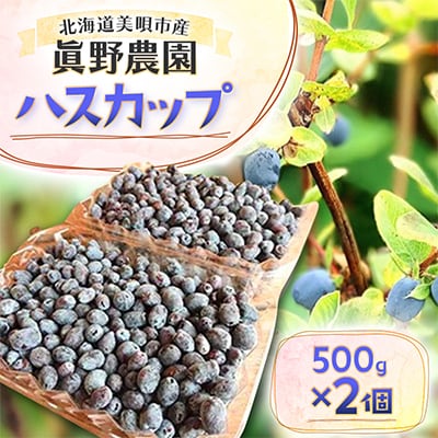 【先行受付】真野農園のハスカップ(500g×2)