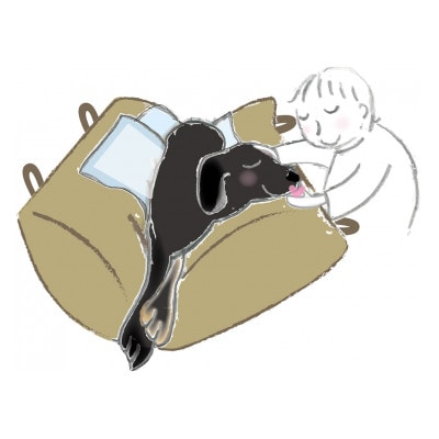 ペット(犬・猫)用介護クッション「RAKU2」 インディゴブルー Mサイズ/小型犬・猫向け